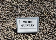 Quincan 20mm - Bulk Bag