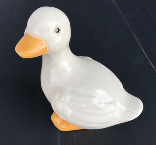 Duck - White