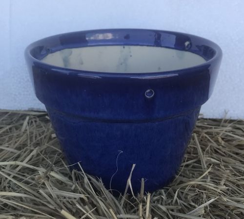 Seedling Pot - Blue
