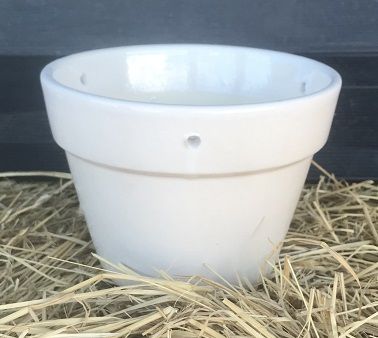 Seedling Pot - White