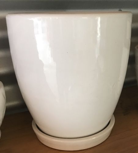 U Shape Pot - White - with saucer