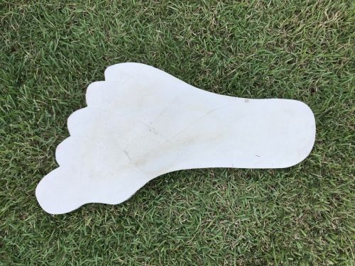 Stepping Stone - Foot